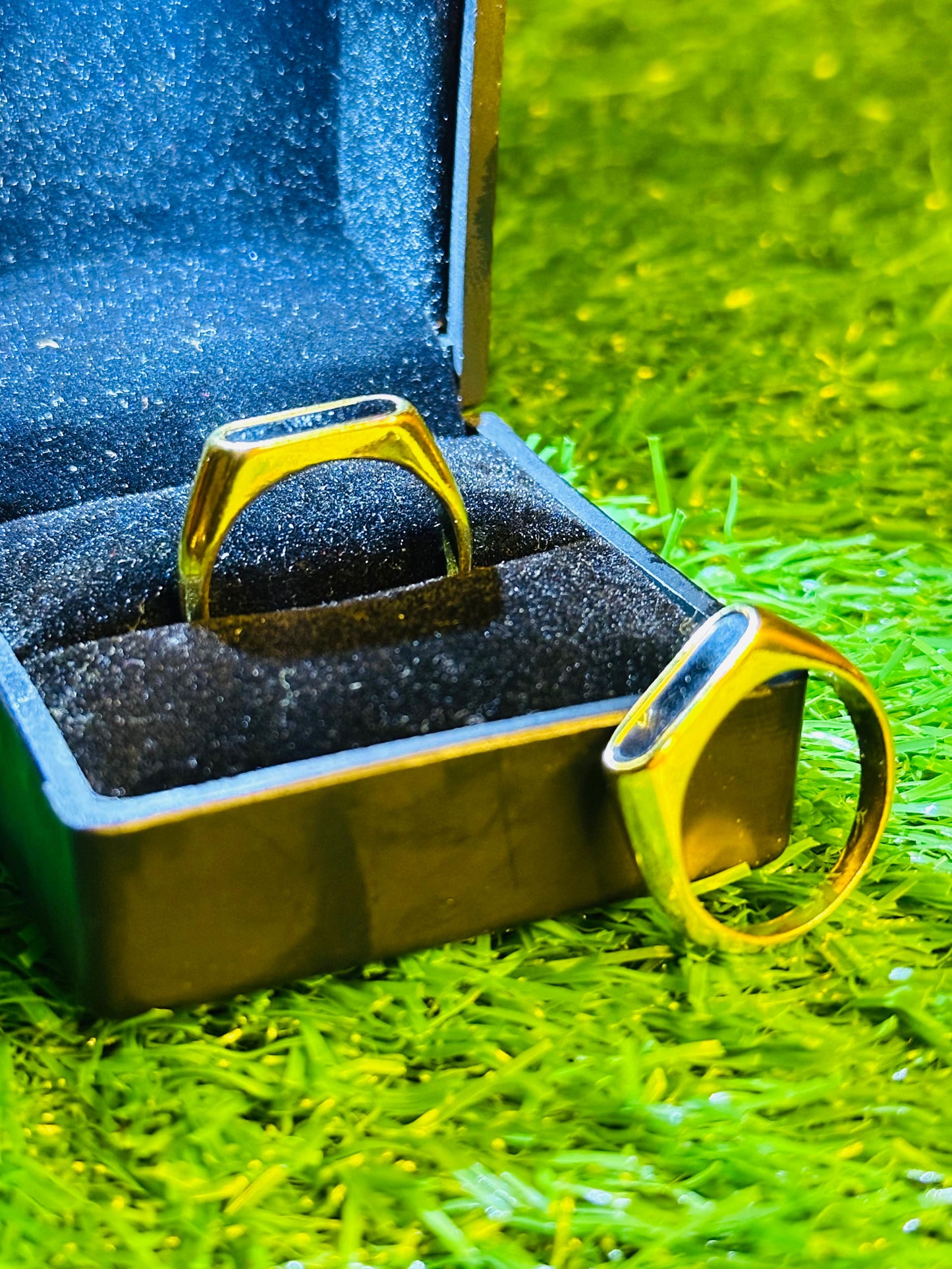 Signet Bar Ring [Golden]